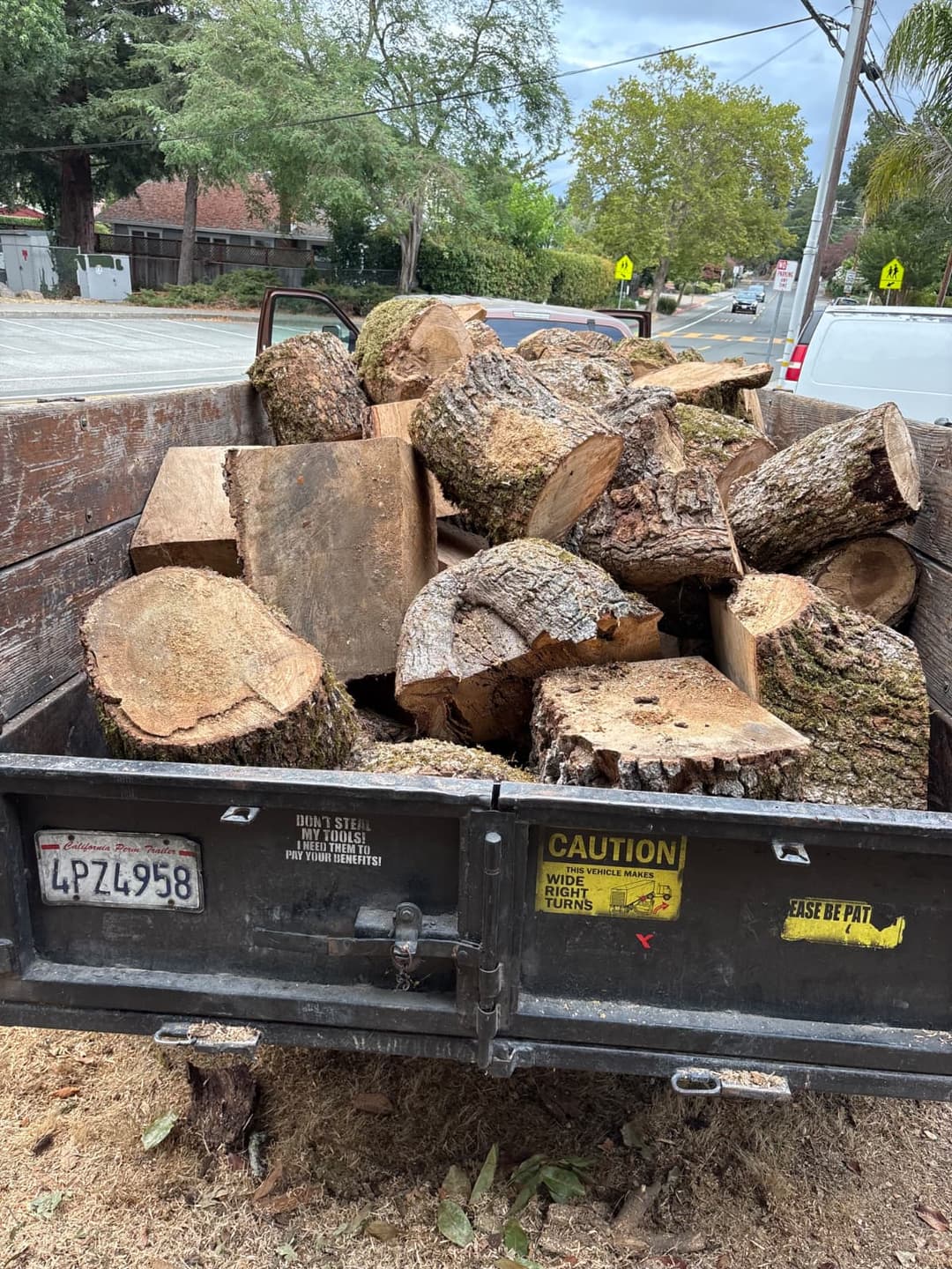 Truck bed filled with cut firewood ready for hauling and disposal.